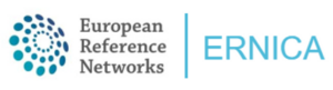 logo ERNICA