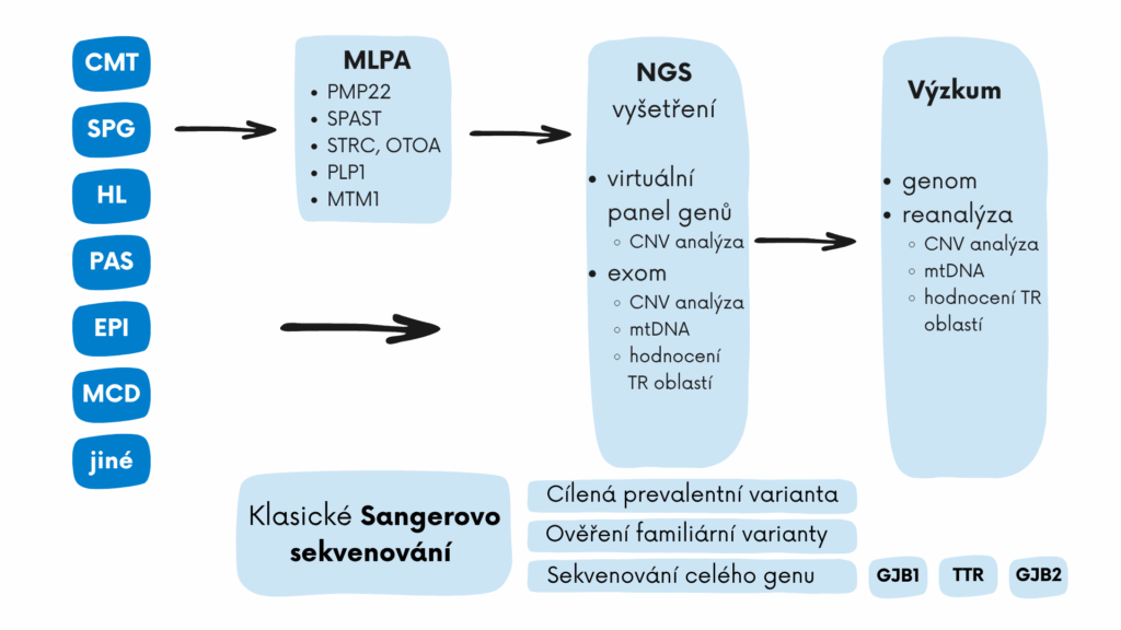 Schéma: Poskytovaná molekulárně genetická vyšetření