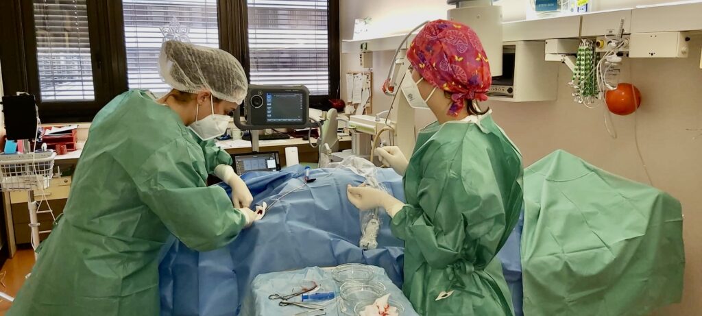 sál - Centrum cévních vstupů