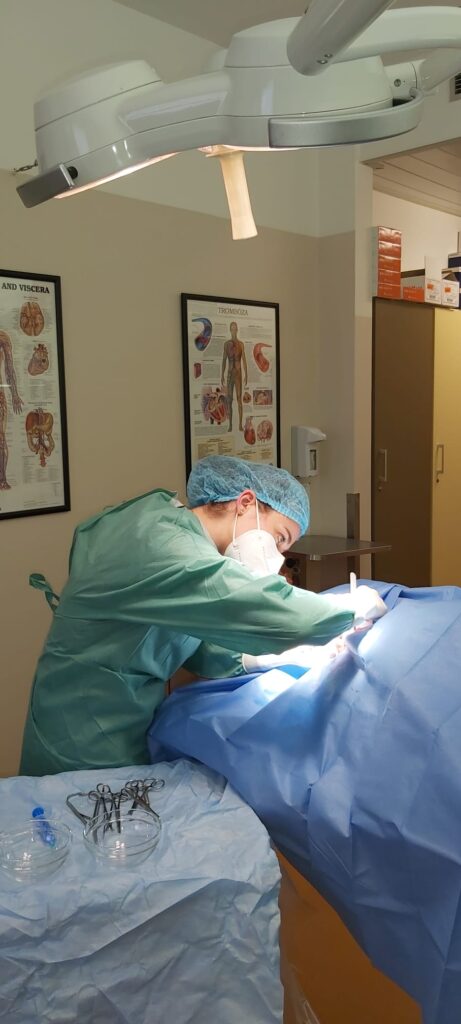 sál - Centrum cévních vstupů